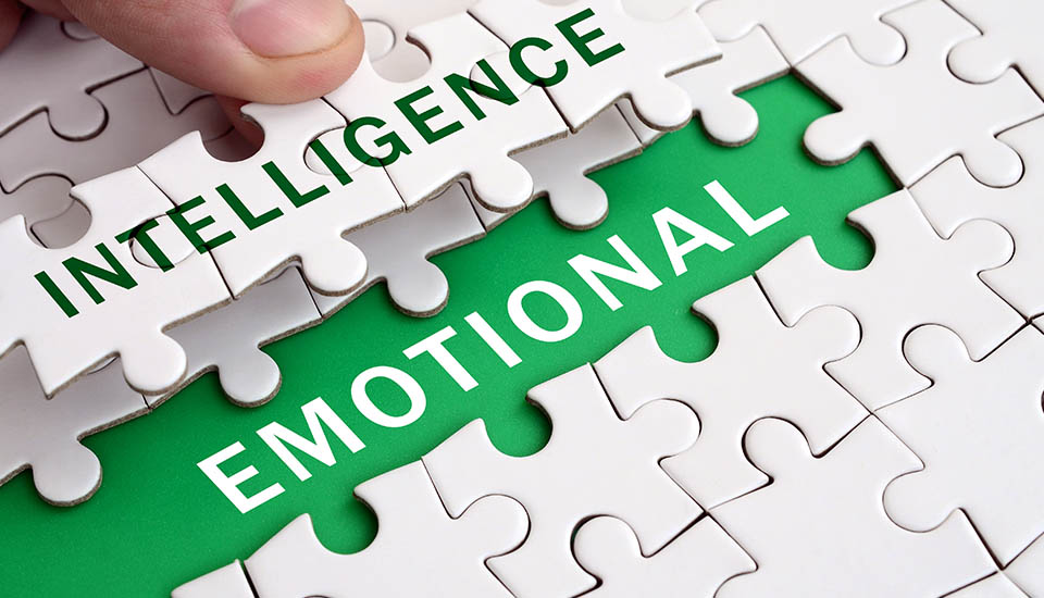 Emotional Intelligence: Strategies for Success