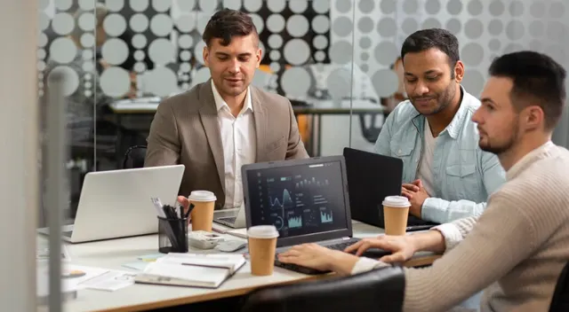 IT Project Management